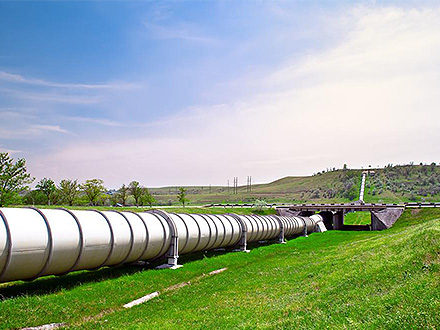 中欧体育官网产品中心二